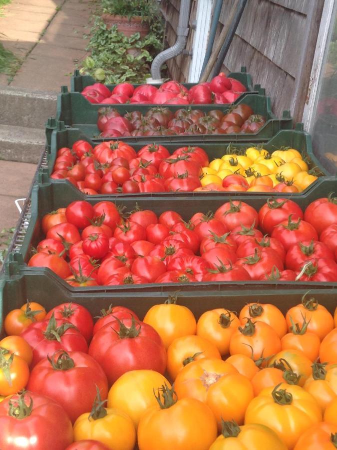 Отель Nettles Farm Lummi Island Экстерьер фото