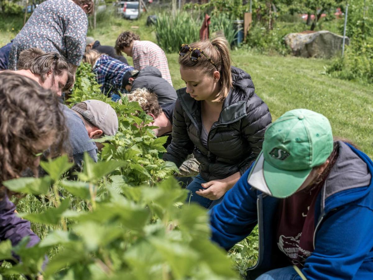 Отель Nettles Farm Lummi Island Экстерьер фото