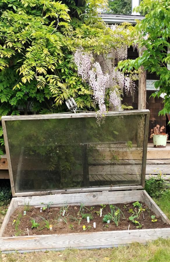 Отель Nettles Farm Lummi Island Экстерьер фото